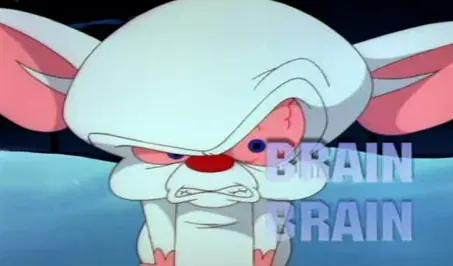 pinky y cerebro pinky y cerebro