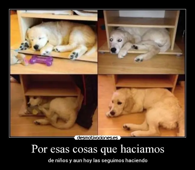 humor