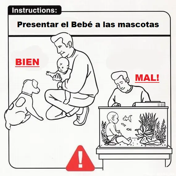humor