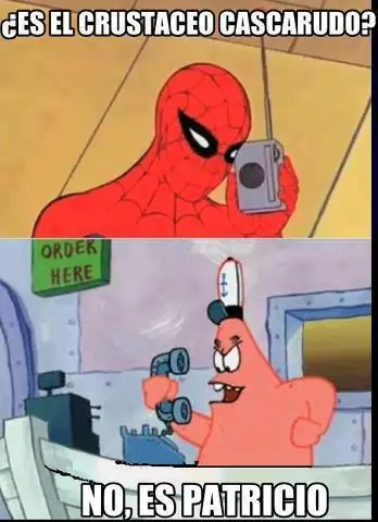 Vengan todos Spidey at night!