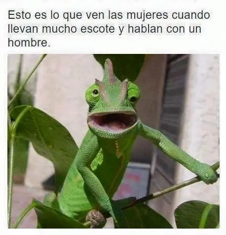 Estás resentido en tu trabajo? Denúnciame y gánate tus +3