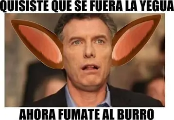 ignorancia ignorancia