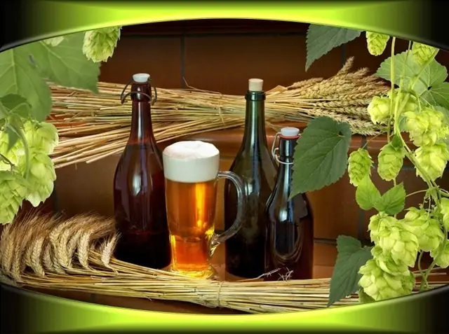 La cerveza, beneficios para la salud