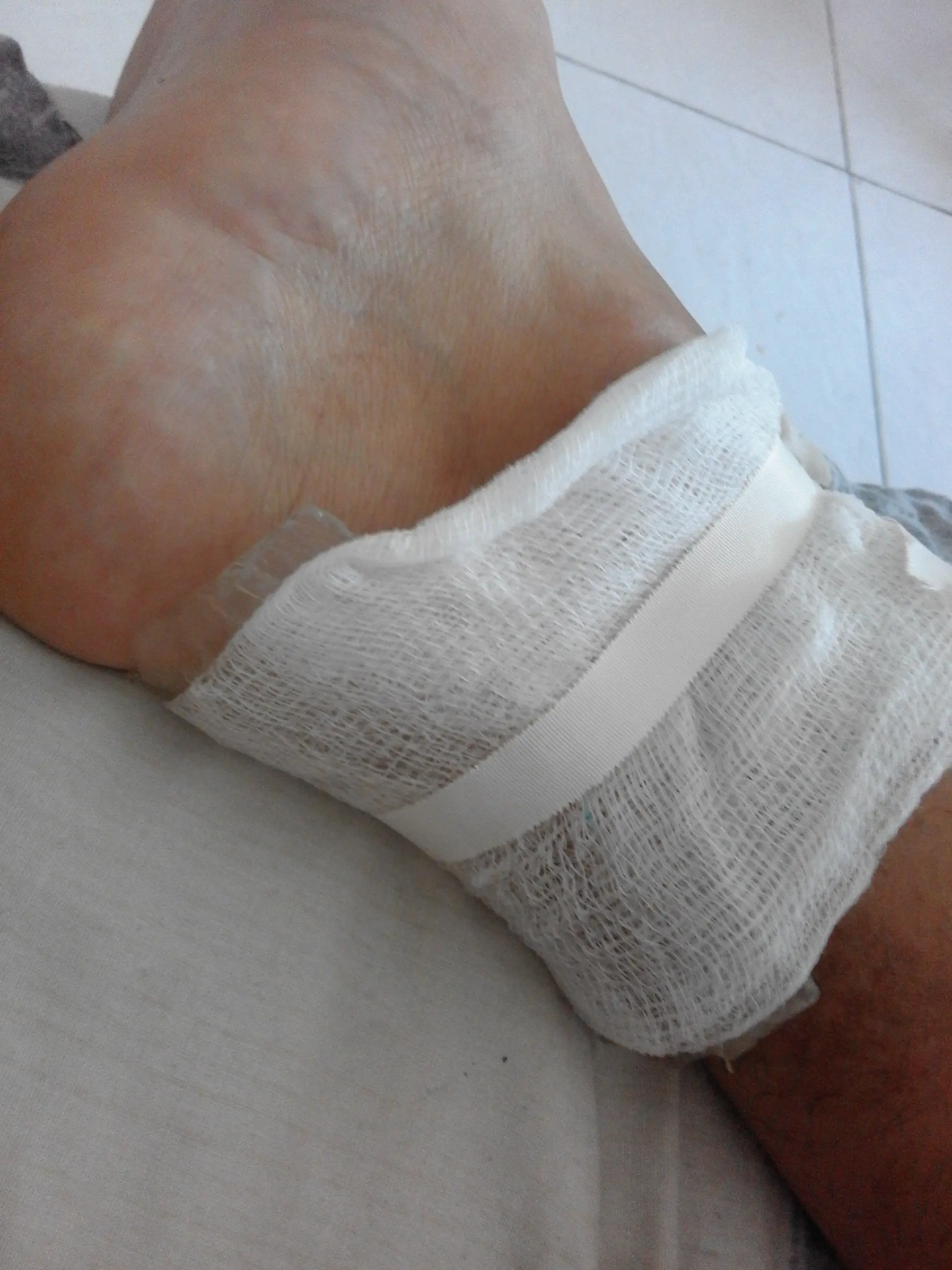 segundo grado