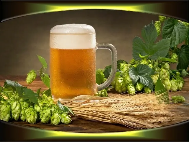 consumo