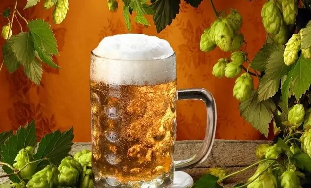 consumo