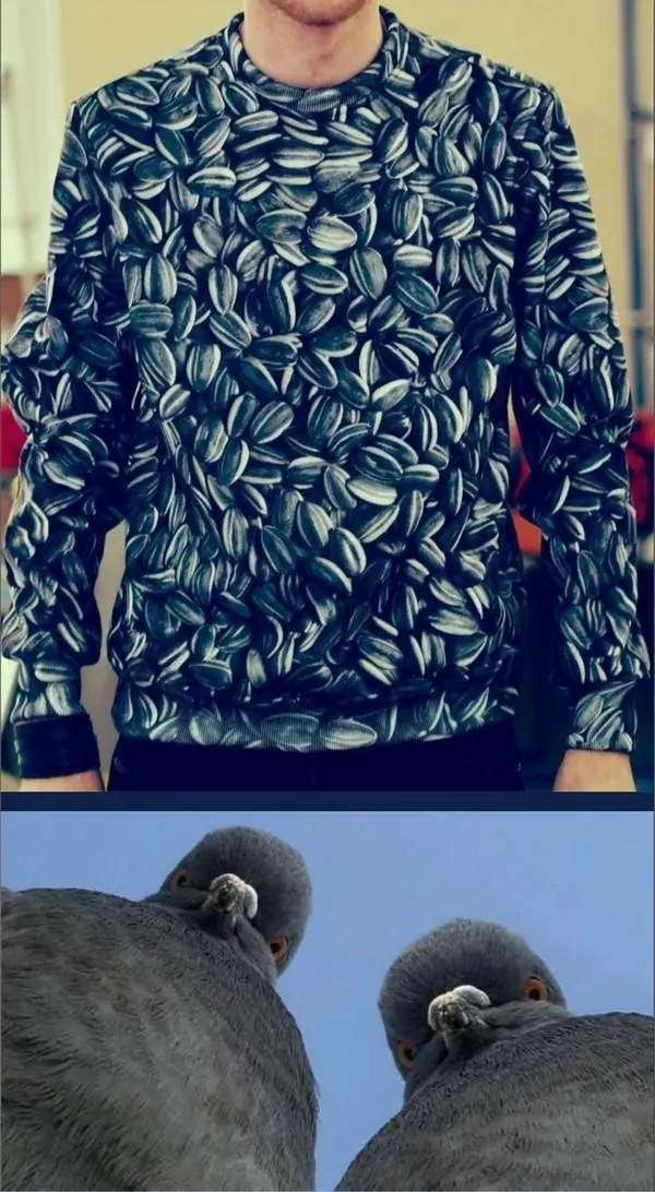 risasimagenes