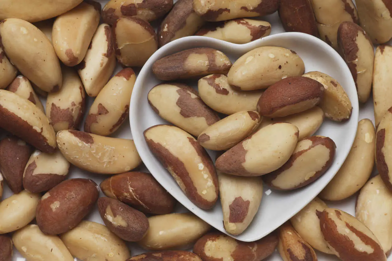 alimentos