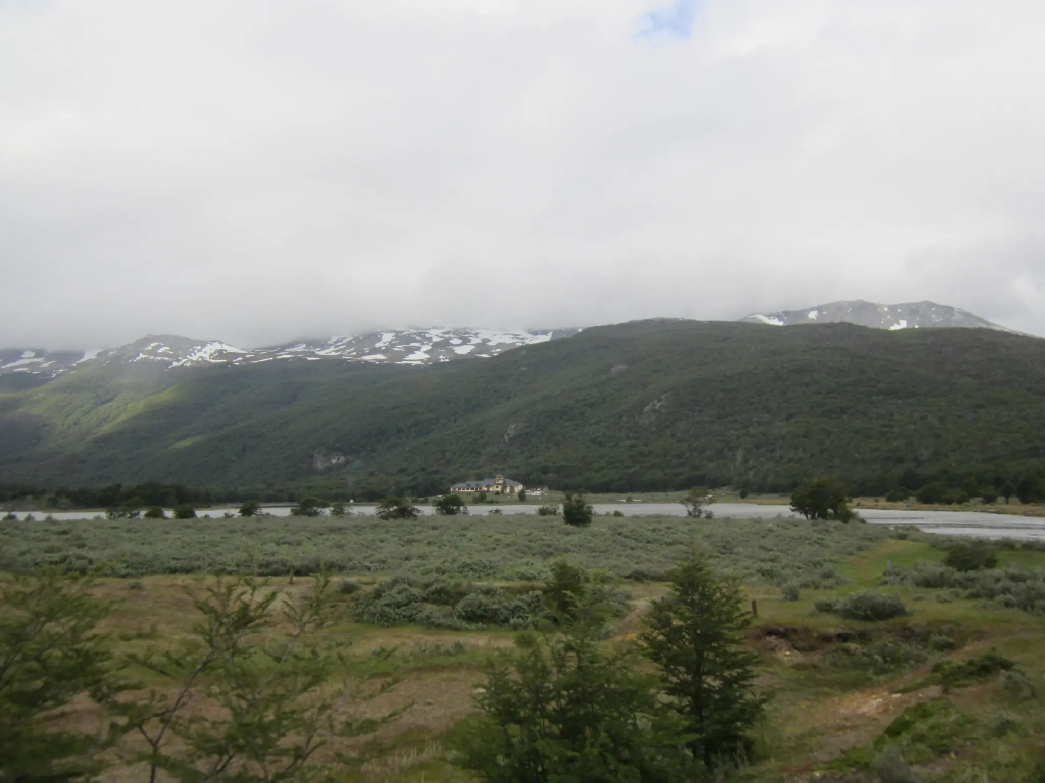 cauquenes