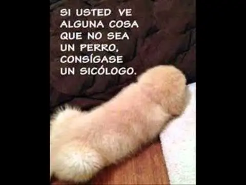 Humor Grafico