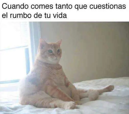 Imagenes graciosas
