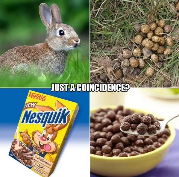 funny images