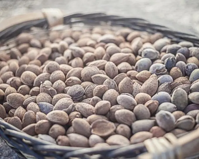 25 alimentos mas adictivos 25 alimentos mas adictivos