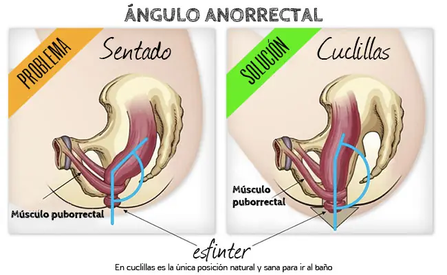 Como