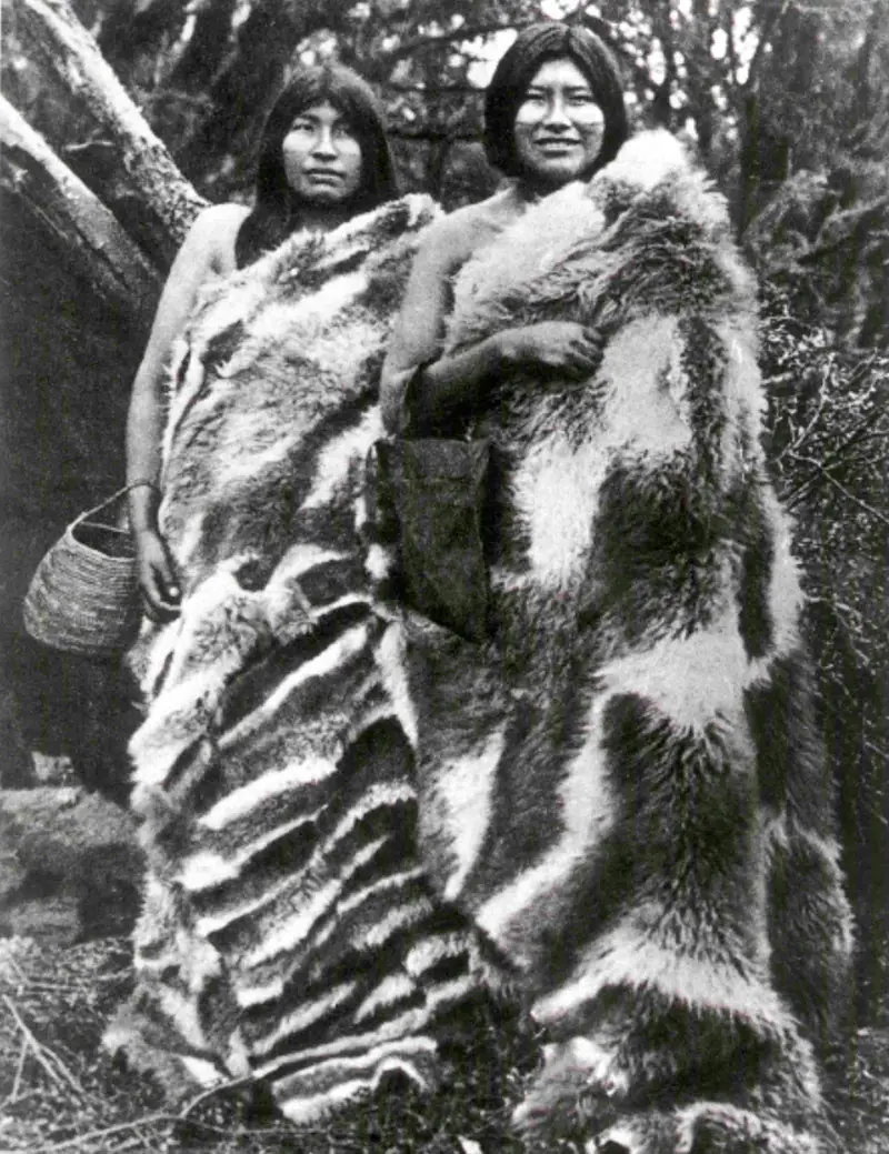 indigenas