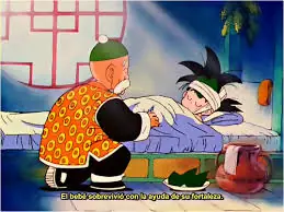 dragon ballz
