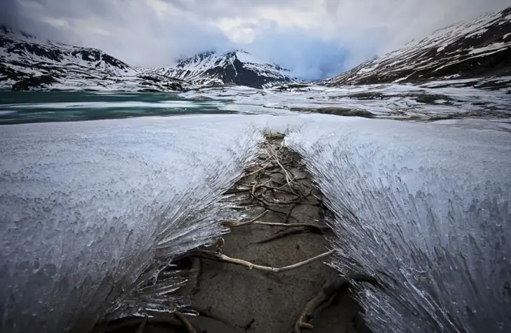 nieve