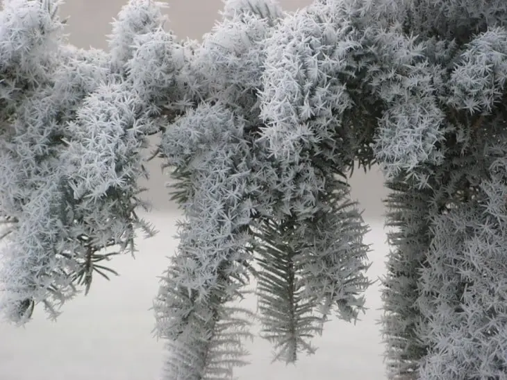 hermosas