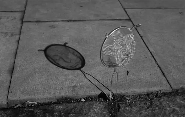 sombras