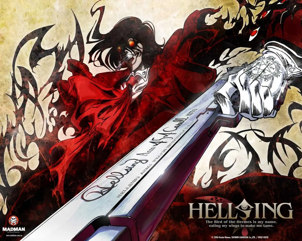 SERIES DE ANIME