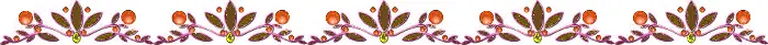 Águila Monera Filipina [información e imágenes]