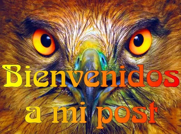 aguila
