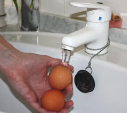 Esa es la cuestión. Los huevos, ¿se lavan o no se lavan?