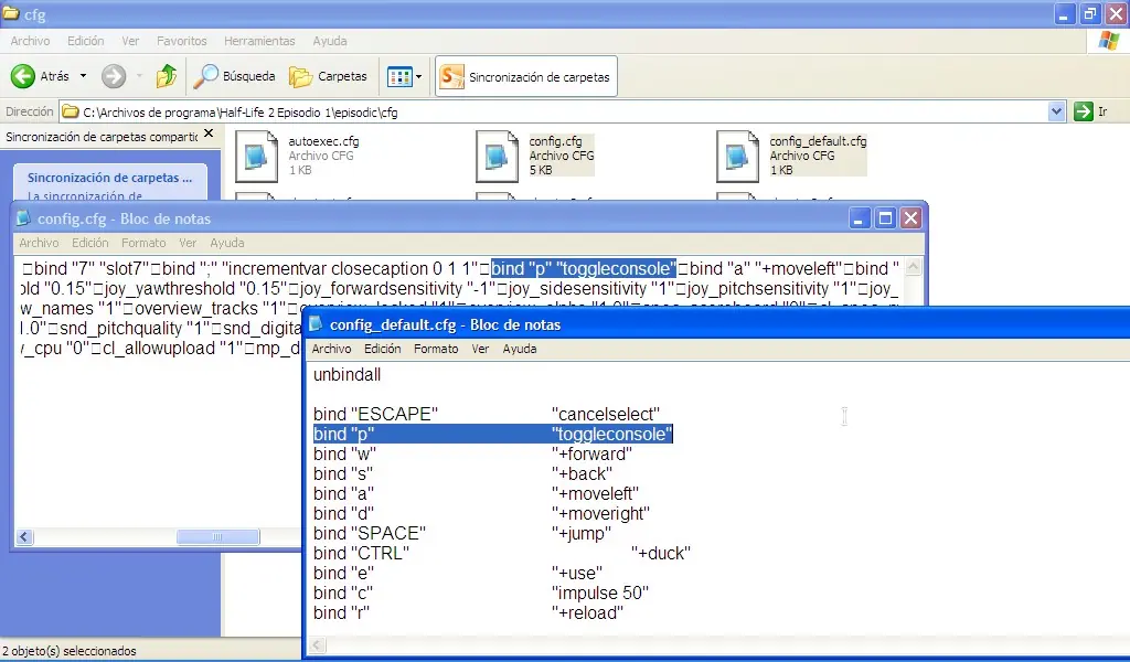como activar la consola del half life 2 episodio 1