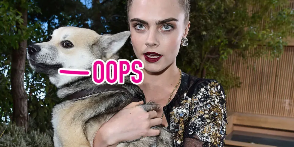 Acusan a Cara Delevingne por maltrato animal