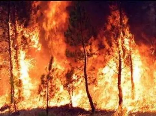 25 curiosidades sobre nuestro planeta que seguro no conocias 25 curiosidades sobre nuestro planeta que seguro no conocias