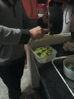 veganismo y vegetarianismo veganismo y vegetarianismo