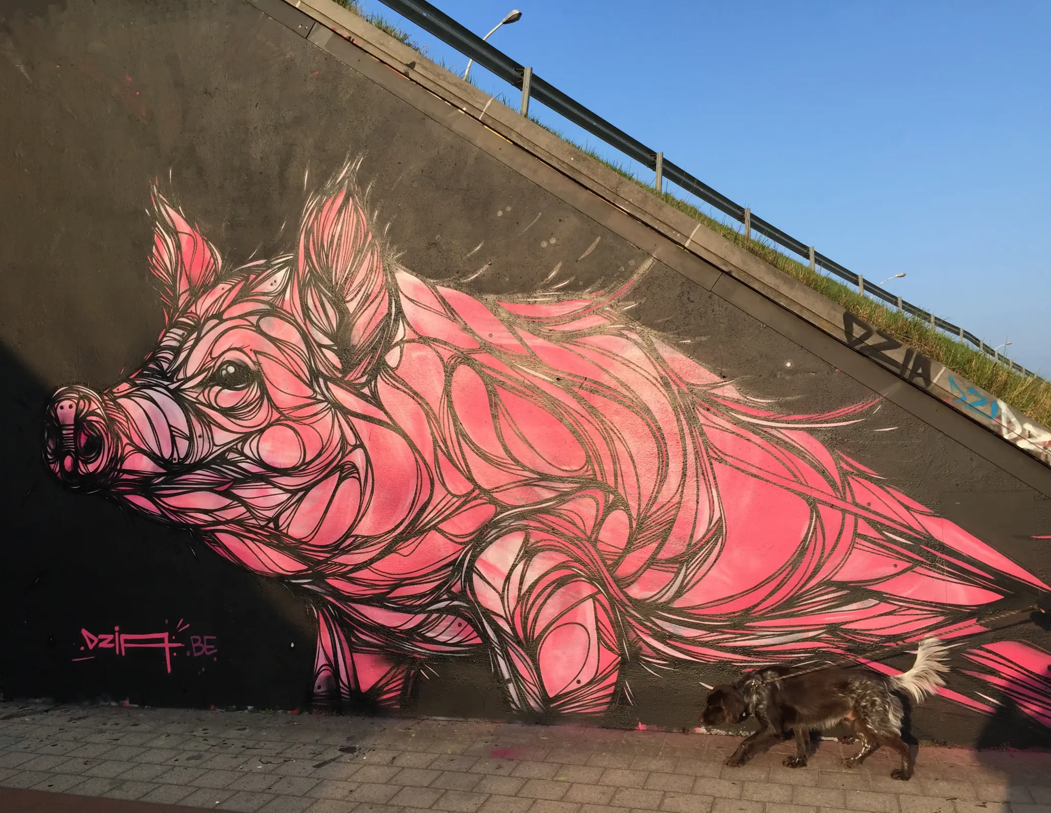 arte callejero