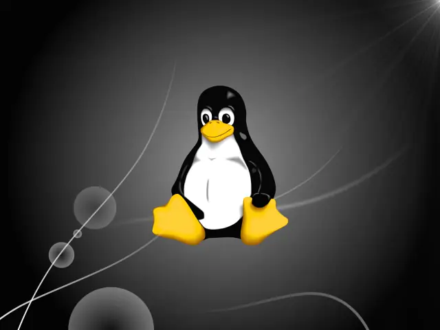 detalles de linux
