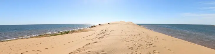 visitar