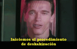 ardida