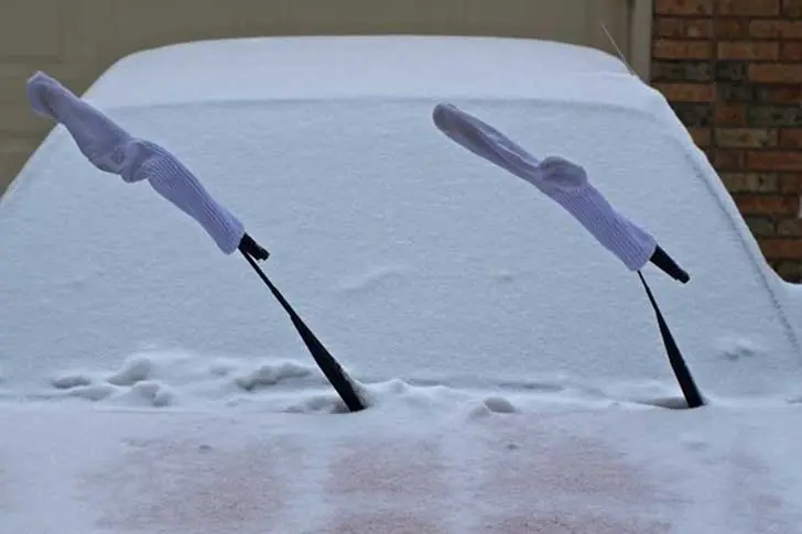 de nieve
