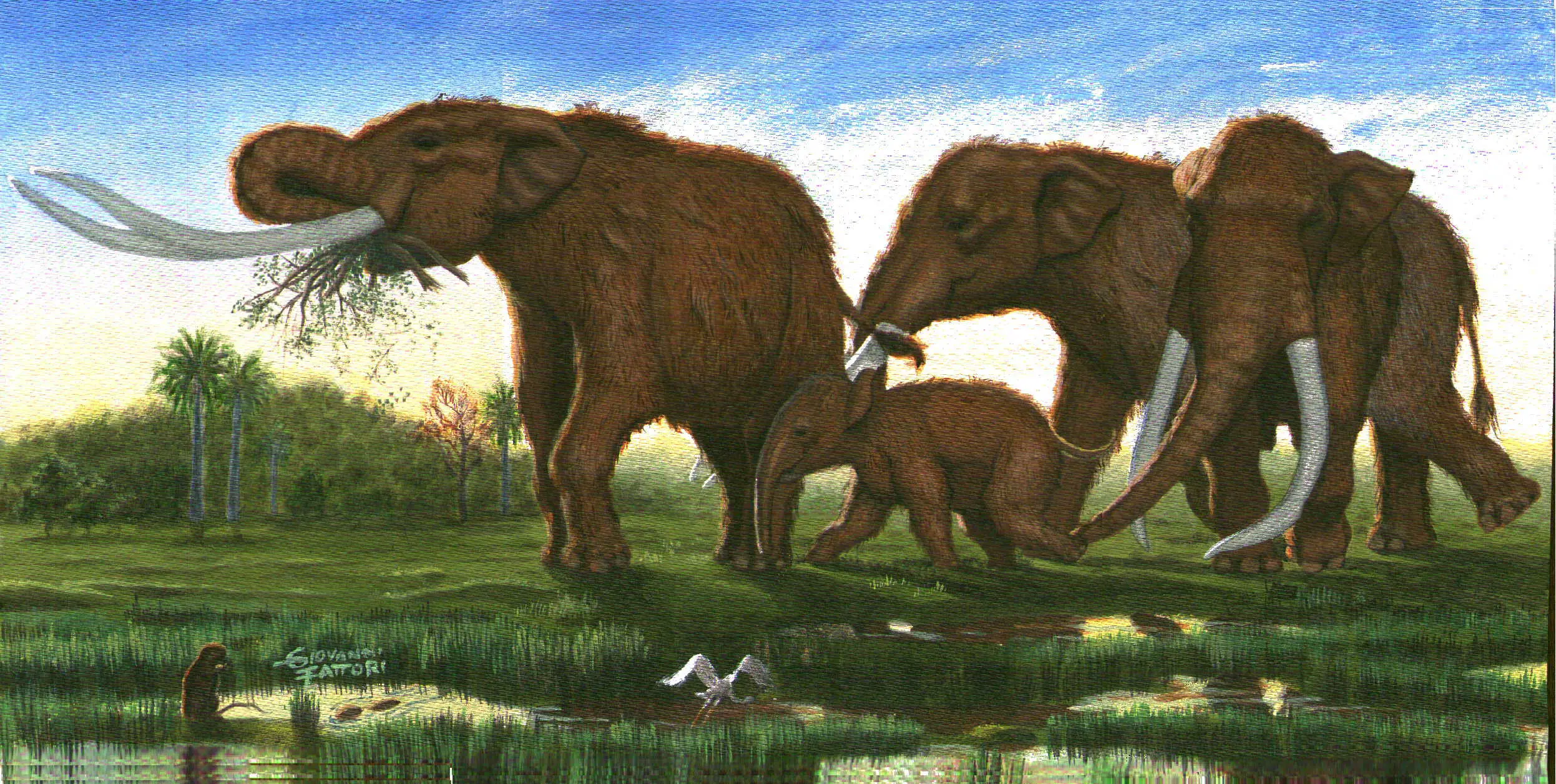 extincion