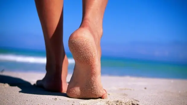 ¿Cómo el sistema nervioso se adapta para conservar energía?