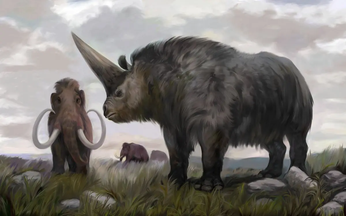 animales en extincion