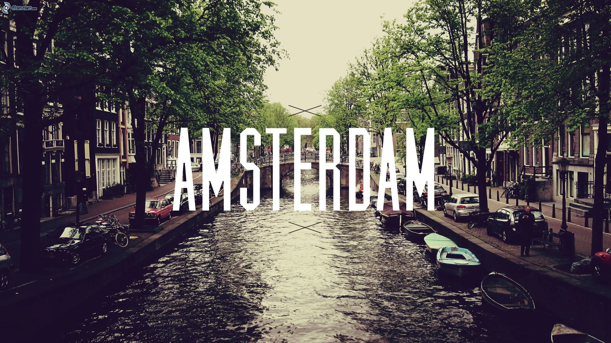 Algunas Preguntas De Amsterdam Q Te Van a Interesar Saber... Algunas Preguntas De Amsterdam Q Te Van a Interesar Saber...