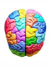 ¿Y tú qué sabes? Cuestionario sobre el cerebro