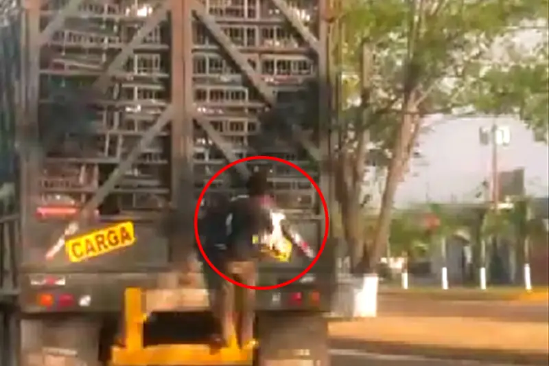 Vzla:Sigue la Anarquia asi roban pollos en los Camiones