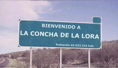 vigilador general