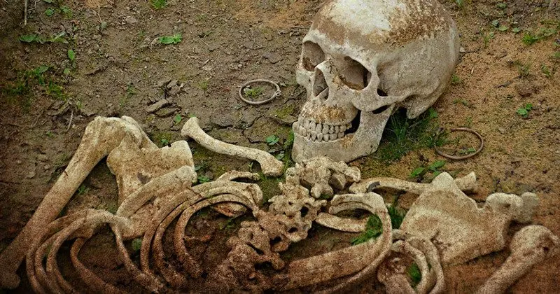 nephilim nephilim