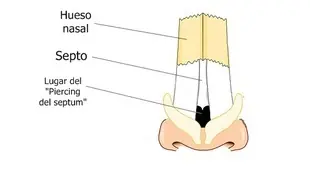 Gotico
