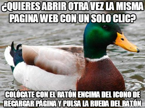 Pato consejero al ataque
