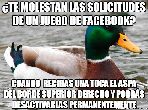 pato consejero