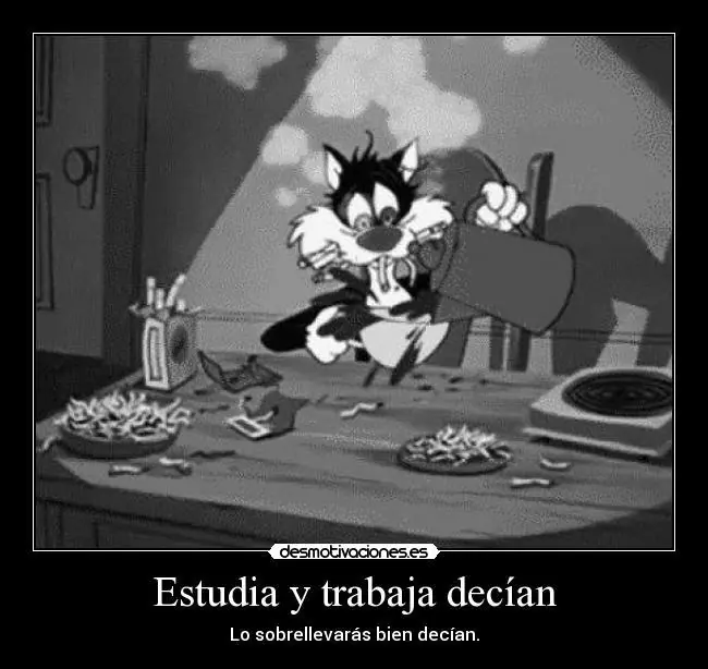 estudios