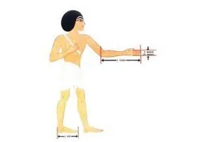 cuerpo humano cuerpo humano