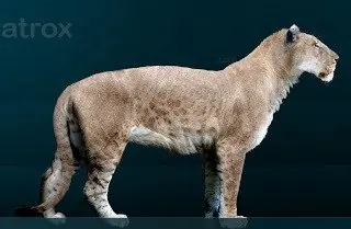animales cavernarios animales cavernarios